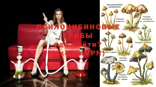 прущие крисы Коряжма