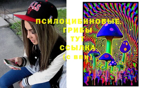 мдпв Алзамай